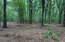 FM 1326, DeKalb, TX 75559