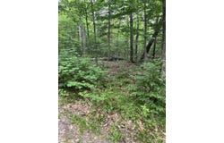 State Highway M-117, MI 49868