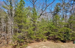Steamboat Lane lot: 103, HEATHSVILLE, VA 22473