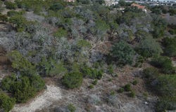 335 Arthur CT, Spring Branch, TX 78070