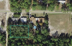 Lilly Avenue, Panacea, FL 32346