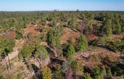 County Road 1130, Willow Springs, MO 65793