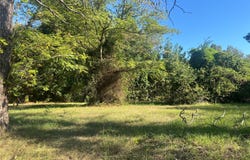 1855 Highway 162, Benton, LA 71006