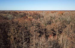 Arkadelphia, AR 71923