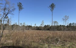 Bilbrew Road, Pisgah, MS 39047