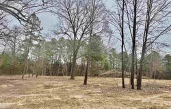 Winfree Lane, Melbourne, AR 72556