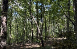 Falcon Overlook lot: 33, Hayesville, NC 20894