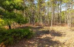 Prairie Road E, Osseo, WI 54758