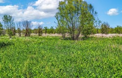 FM 196, Deport, TX 75435