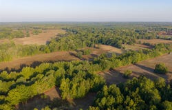 CR 1002 N, Winnsboro, TX 75494