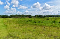 Vacant NW Copperhead Way, Madison, FL 32340