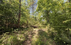 Leon Tower Rd, Dozier, AL 36028