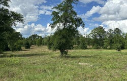 West 58 AC County Road 20/New Ebenezer, Florala, AL 36442