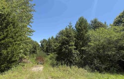 CR 1662, Mt Pleasant, TX 75455
