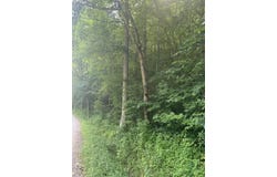9999 May Fork Road, Manchester, KY 40962
