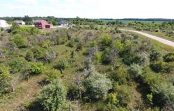 7240 Empire Road, St. Johns, MI 48879