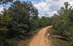 Brushy Creek Road, Rison, AR 71665