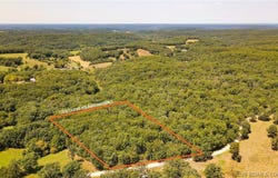 Cyrus Drive, Macks Creek, MO 65876
