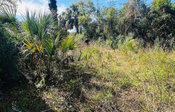 1219 N Paris St, Bell, FL 32619