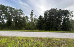 NE 150TH Avenue, WILLISTON, FL 32696