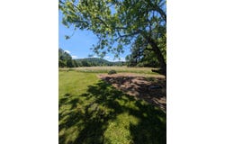 9992 Tinsley Ln, Bent Mountain, VA 24059