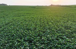 US Route 61, West Liberty, IA 52776
