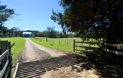 126 A CR 428, PARIS, MS 38949