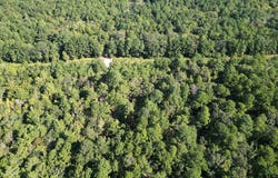 CR 1613, Jacksonville, TX 75766