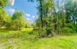 NE 66TH LN lot: 1, BRONSON, FL 32621