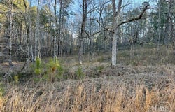 River Ridge Trail, Sparta, GA 31087