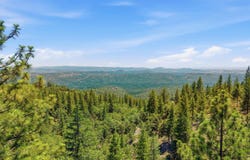 Old Oak Ranch Rd, Sonora, CA 95370