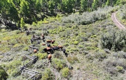 Divide Road, Whitewater, CO 81527