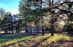 225 Badger Trail, Ridgway, CO 81432