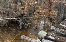 Coker Spur Rd, Red Bay, AL 35582