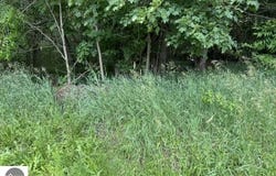 N Lincoln, Stanton, MI 48888