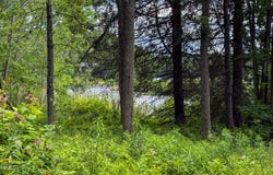 O Alan A Dale Dr, Becket, MA 01223
