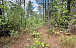 130 Doyston, Simsboro, LA 71275