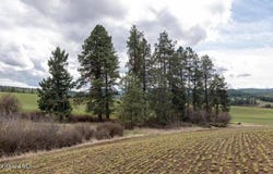 NKA Clifford Rd, Princeton, ID 83857