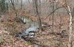 12 Tellico Trl, Murfreesboro, AR 71958