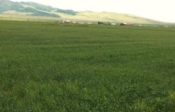 NHN Luppold Road, White Sulphur Springs, MT 59645