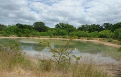 1688 Highway 573, Comanche, TX 76442