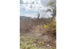 Ramsey Mountain Rd., Max Meadows, VA 24360