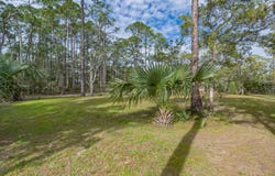 Satilla Avenue, Panacea, FL 32346