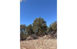 41st Trail, Cotopaxi, 81223