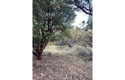6172 Shad Way, Pollock Pines, CA 95726