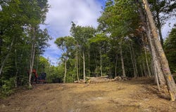 Cider Mountain Road, Warren, VT 05674