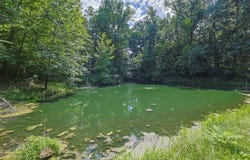 4444 Pate Rd, Dillsboro, IN 47018