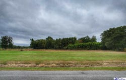 Rogers Drive, Lake View, SC 29563