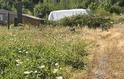 49631 MCKENZIE Hwy, Vida, OR 97488