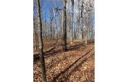 Madison 3605, Kingston, AR 72742